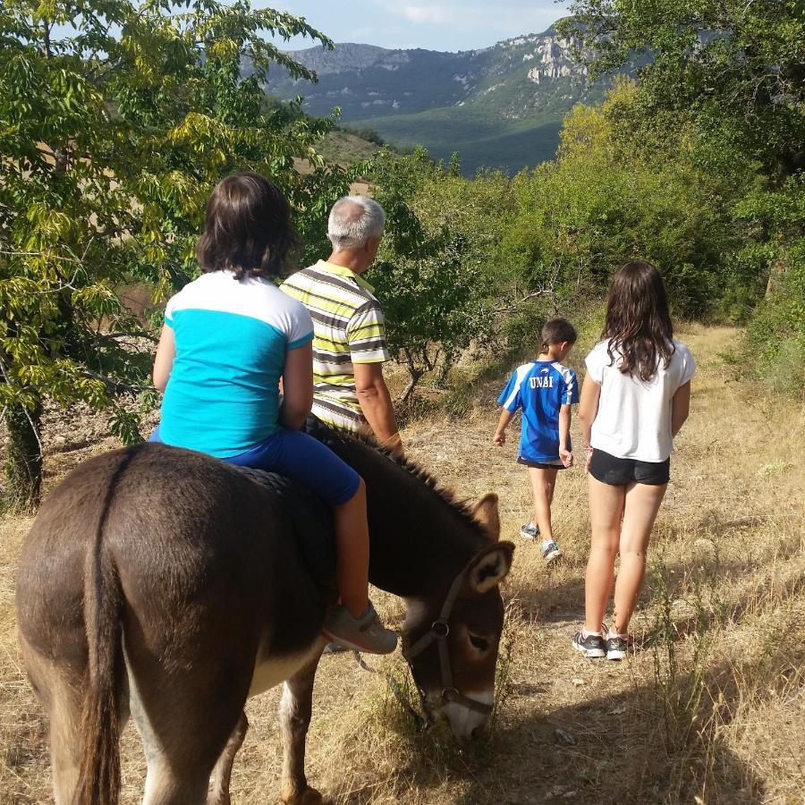 Casa Rural Basaula Muneta Εξωτερικό φωτογραφία