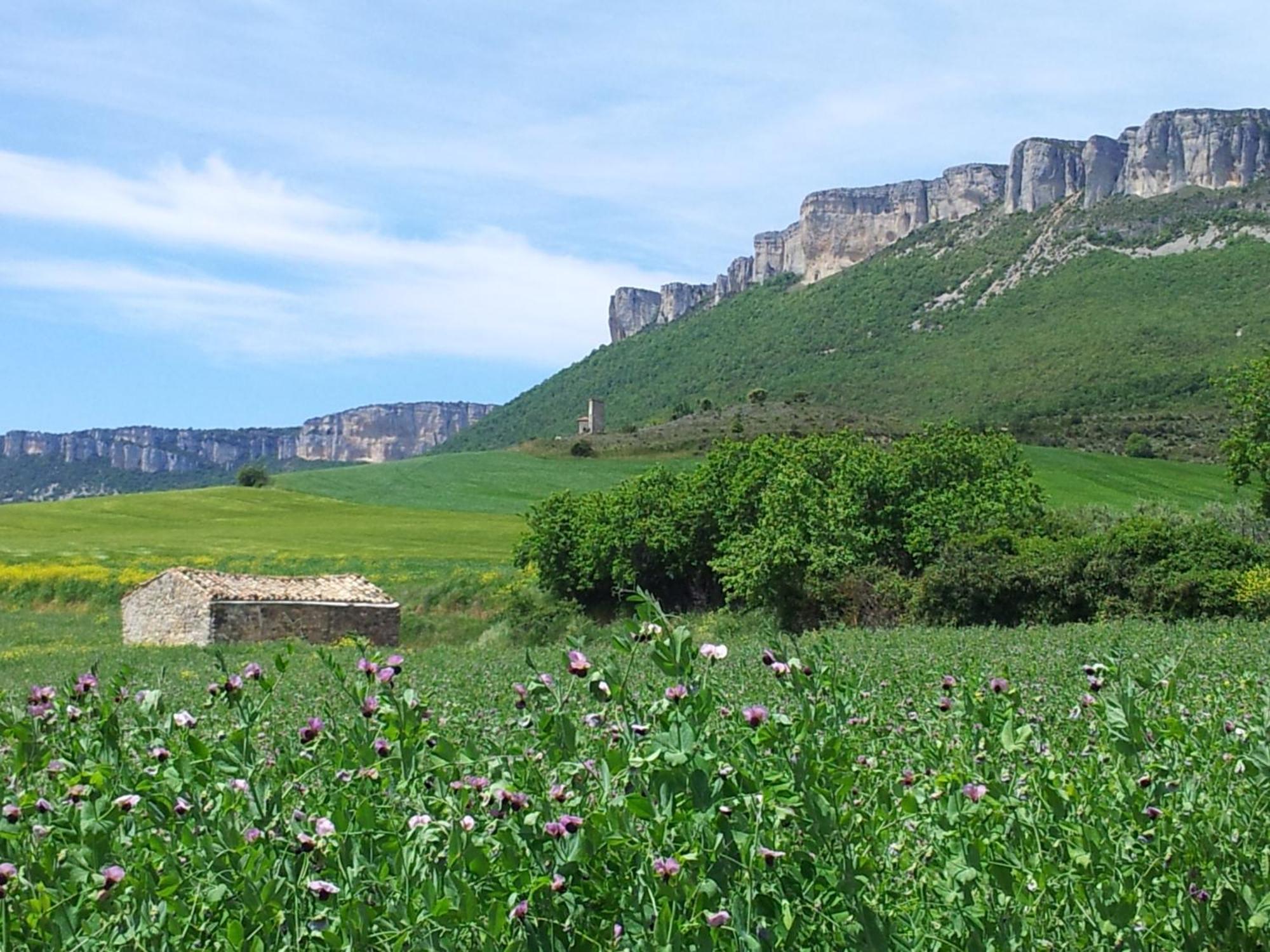 Casa Rural Basaula Muneta Εξωτερικό φωτογραφία