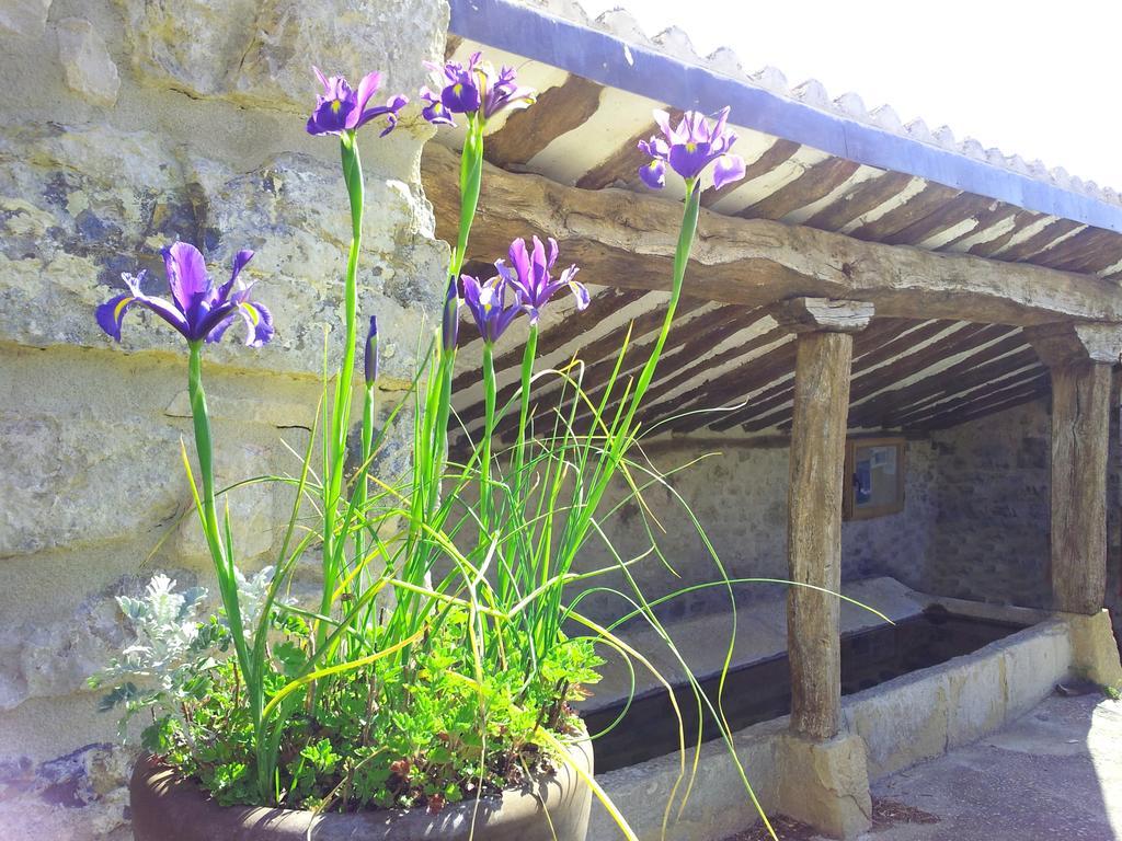 Casa Rural Basaula Muneta Εξωτερικό φωτογραφία