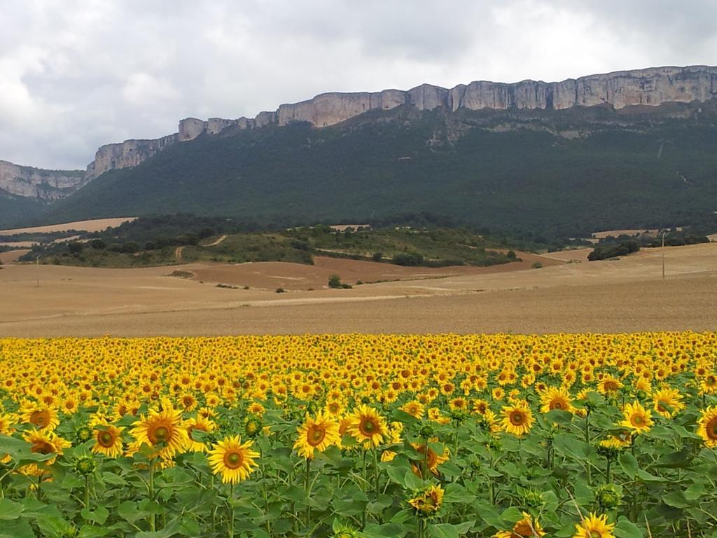 Casa Rural Basaula Muneta Εξωτερικό φωτογραφία